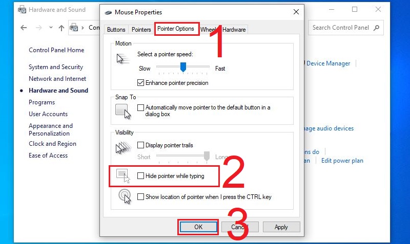 Bỏ chọn Hide pointer while typing ở tab Pointer Options